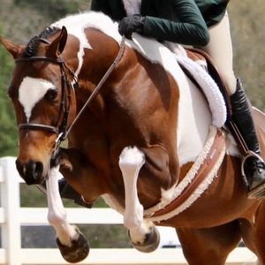 Meet your Posher, Maggie